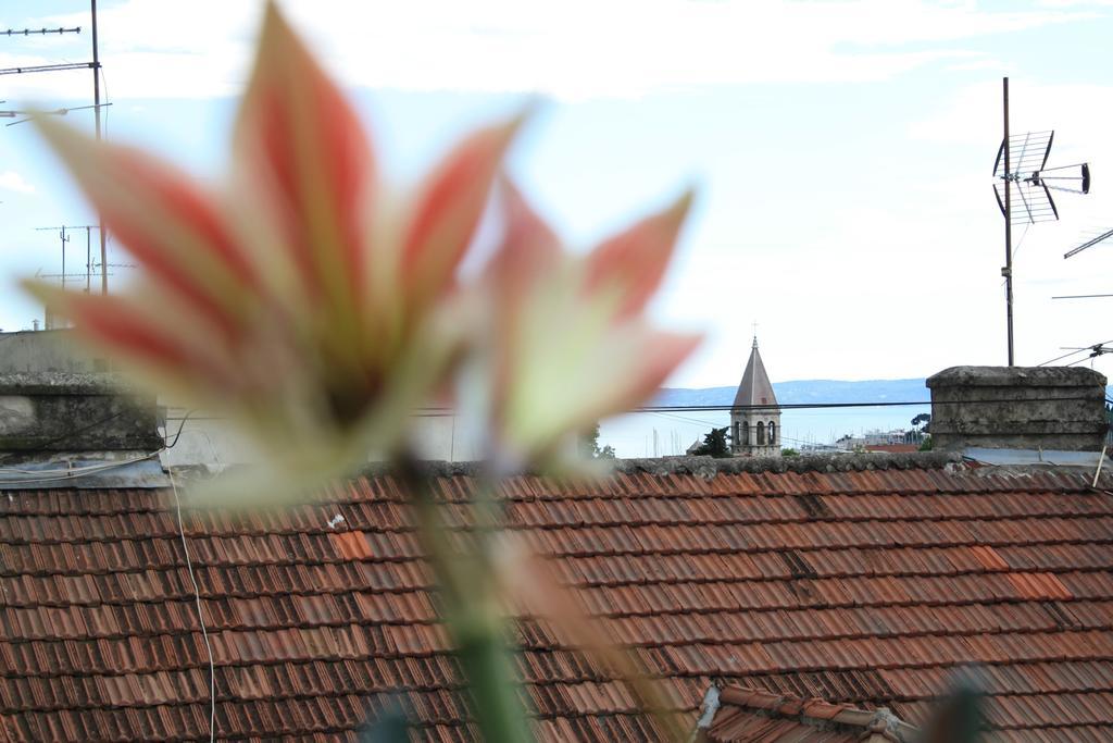 City View * Split